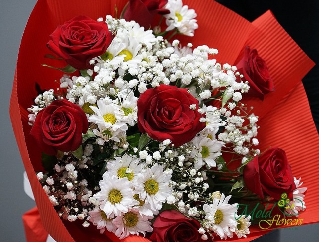 Bouquet with red roses and white chrysanthemum photo